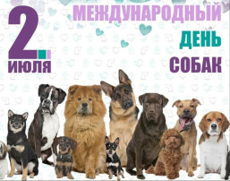 Международный день собак Международный день собак.