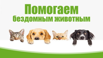 Акция "Помоги четвероногим друзьям" Акция "Помоги четвероногим друзьям".