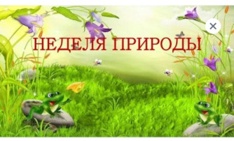 Неделя природы Неделя природы.
