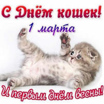 День кошек в старшей группе День кошек в старшей группе.