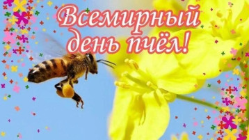 Всемирный день пчёл Всемирный день пчёл.