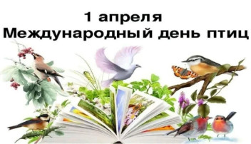 Международный «День птиц» Международный «День птиц».