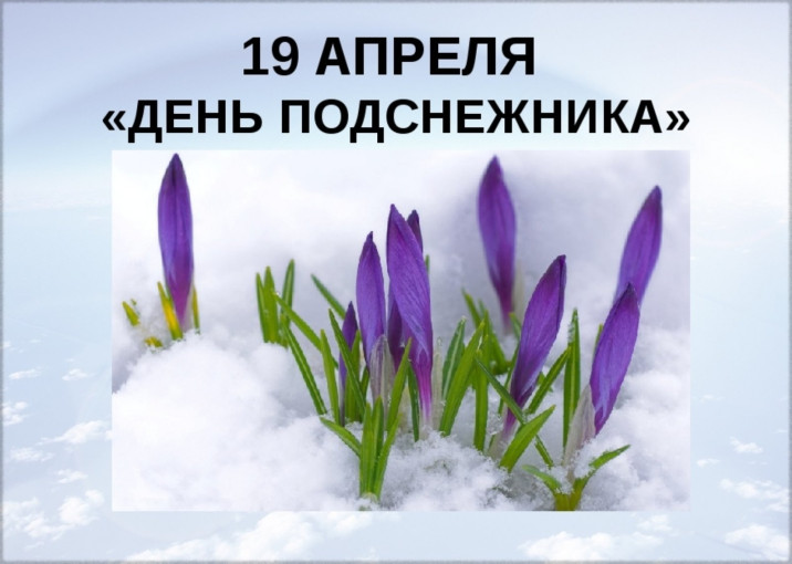 День подснежника в подготовительной группе День подснежника в подготовительной группе.