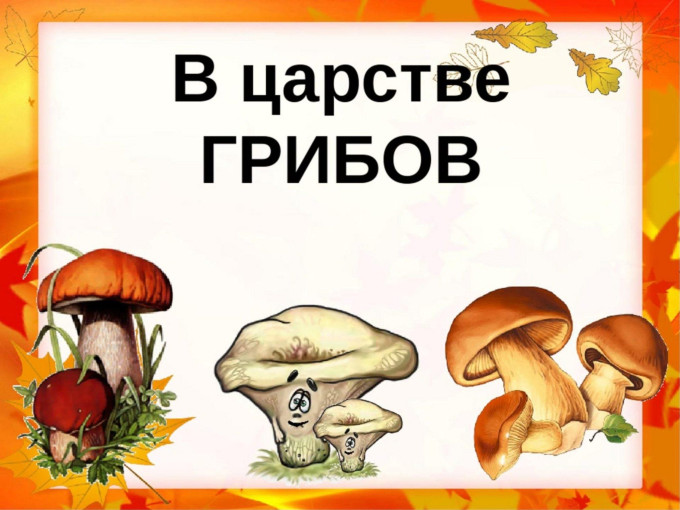 Проект "Грибы бывают разные". Проект "Грибы бывают разные".